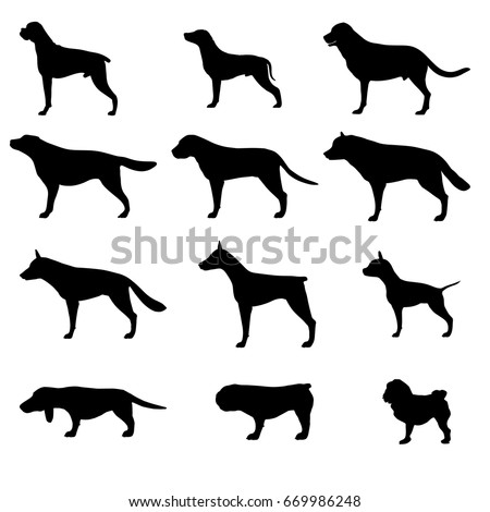 Download Dog Profile Stock Images, Royalty-Free Images & Vectors ...