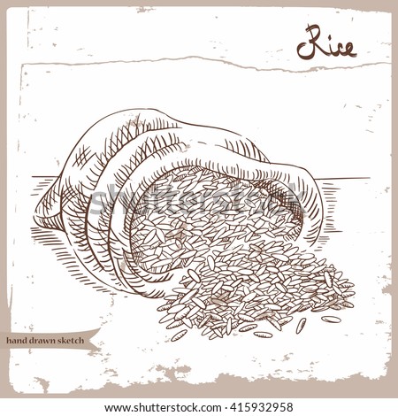 Vector hand drawn sketch of the rice groats in the sack on the textured paper background. Hand drawn linear illustration of the rice groats with text. Image for farm, shop, tag, agriculture industry.