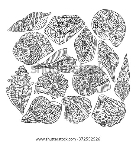 Seashells Zentangle Pattern Coloring Book Stock Vector 372552526 Shutterstock