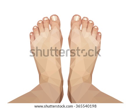 Most Common Types Human Forefoot Shapes Stock Vector 592449509 ...