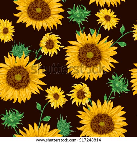 Sunflower Stock Images, Royalty-Free Images & Vectors | Shutterstock