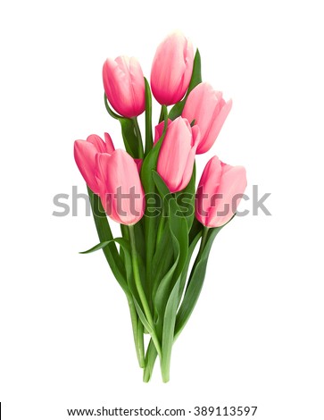 Bouquet of pink tulips isolated on white background with clipping path. Top view.