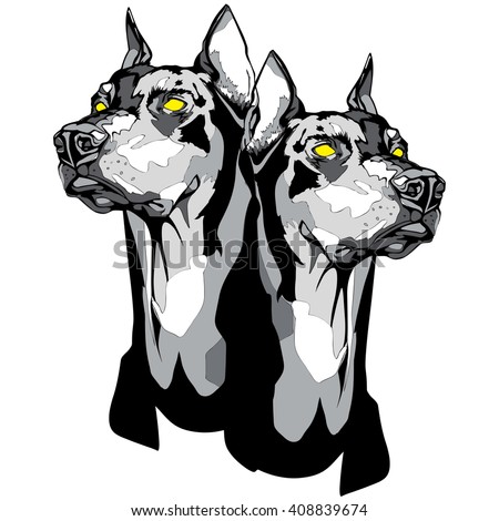 doberman pincher stock images royalty free images u0026 vectors doberman pincher stock images royalty free images u0026 vectors