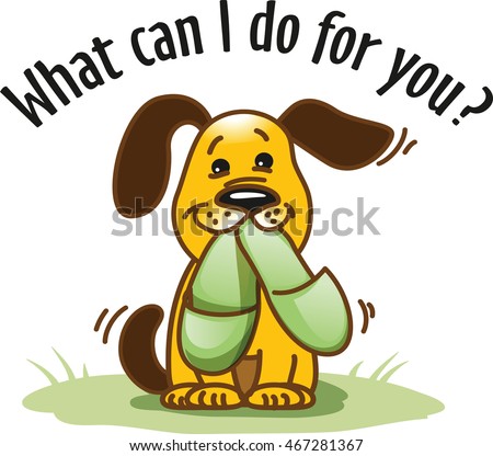 What can i do with stock options