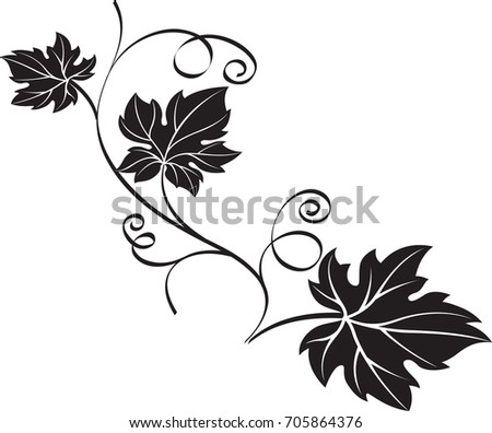 Black Decorative Design Element Grape Branch Stock Vector 705864376 ...