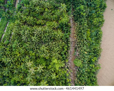 Mekong delta landscape from above