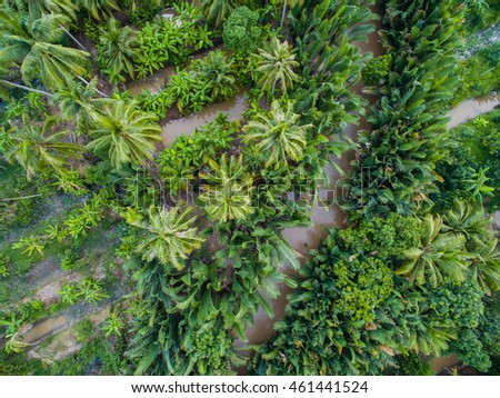 Mekong delta landscape from above