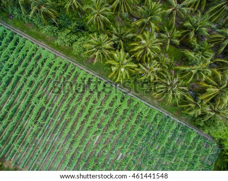 Mekong delta landscape from above