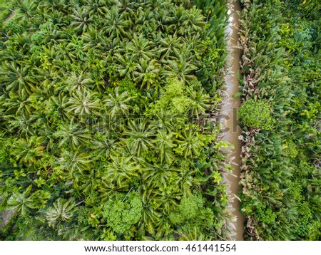 Mekong delta landscape from above