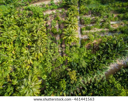 Mekong delta landscape from above