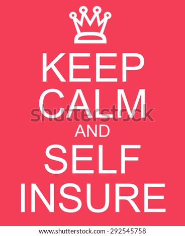 Self Insure