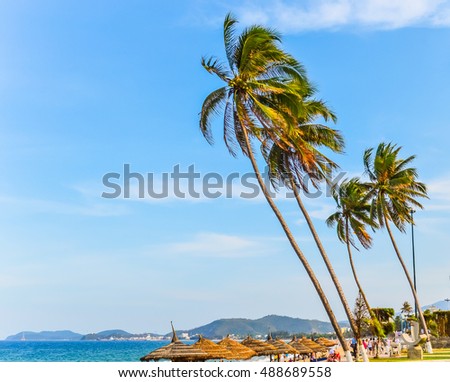 Sea beach palms Vietnam Nha Trang