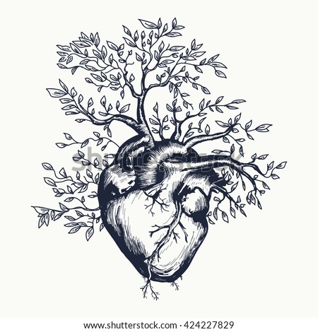 Anatomical Human Heart Which Tree Grows Stock Vector 424227829