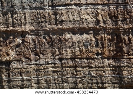 Surface Carbonate Rock Weathering Structures Micro Stock Photo ...