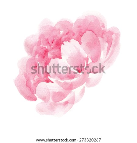 Watercolor Peony Stock Images, Royalty-Free Images & Vectors | Shutterstock