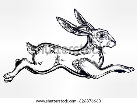 Jackrabbit Stock Images, Royalty-Free Images & Vectors | Shutterstock