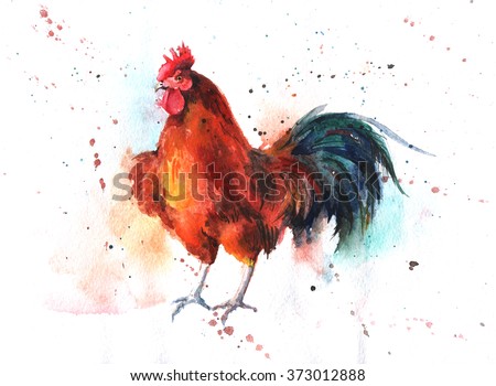 Watercolor hand-drawn bright-colored rooster