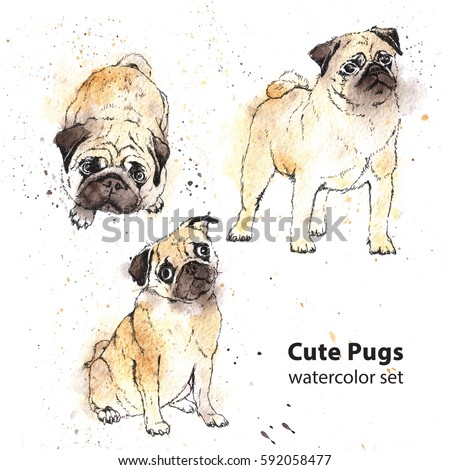 Watercolor hand-drawn bright-colored Cute pugs