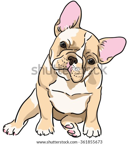 Frenchie Stock Images, Royalty-Free Images & Vectors | Shutterstock