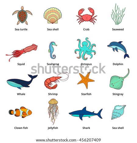 Sea Animals Sea Turtle Seashell Sea Stock Vector 456207409 - Shutterstock