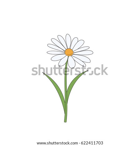 Cartoon daisy. Simple flower on white background. Vector illustration.