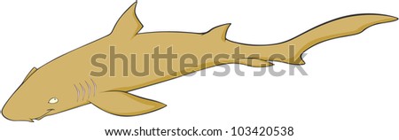 Download Nurse Shark Stock Images, Royalty-Free Images & Vectors ...