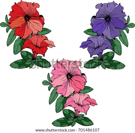 Petunia Stock Vectors, Images & Vector Art | Shutterstock