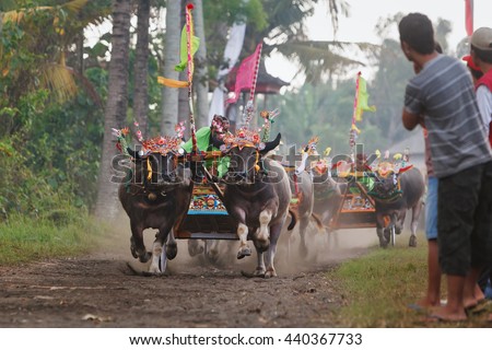 Kerbau Stock Images, RoyaltyFree Images Vectors Shutterstock Kerbau Stock Images, RoyaltyFree Images Vectors Shutterstock
