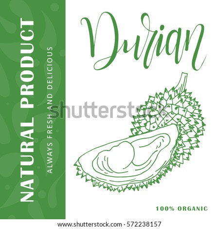 Vector fruit element of durian. Hand drawn icon with lettering. Food illustration for cafe, market, menu design