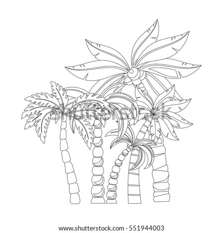Palm Trees Coloring Book Pages Design Stock Vector 551944003 Isolated