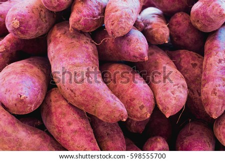Fresh sweet potato with root at farmer market as a food background