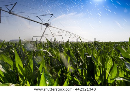 Nebraska Corn Field Irrigation