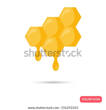 Honey comb color flat icon for web and mobile design