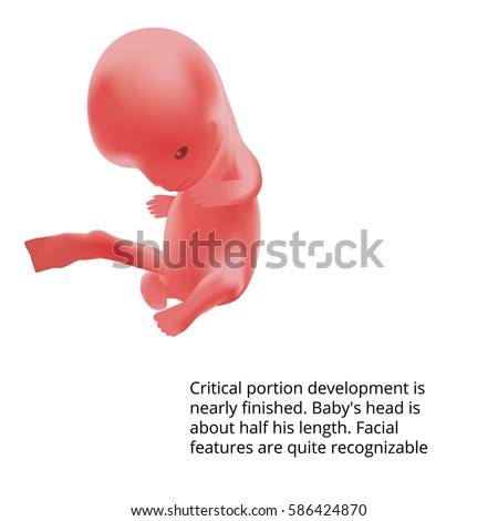 human growth and development conception to birth essay His photo essay chronicles the life course and human development as a scienti c, applied, and interdisciplinary field basic issues people from conception to death bhuman development as a scienti c, applied, and interdisciplinary field. human growth and development conception to birth essay His photo essay chronicles the life course and human development as a scienti c, applied, and interdisciplinary field basic issues people from conception to death bhuman development as a scienti c, applied, and interdisciplinary field.