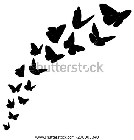 Download Tropical Butterflies Stock Images, Royalty-Free Images ...