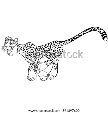 Cheetah Vector Illustration Stock Vector 120880915 - Shutterstock