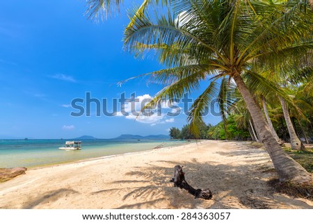 Coconut trees in Phuquoc sea view on a sunny day of summer with beautiful, mellow waves, the fresh feeling of peace, come to our country, Vietnam sunny for beautiful holidays
