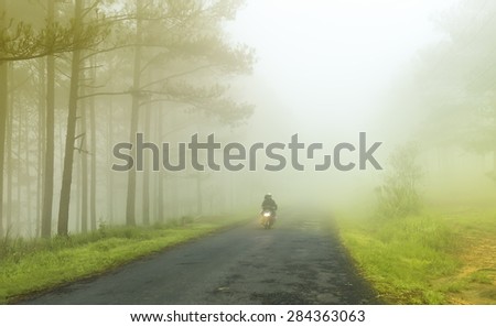 In Da Lat, Lam Dong, Vietnam - May 17th, 2015, A couple running through foggy road unfurling in an early morning in Da Lat, Lam Dong, Vietnam