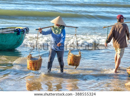 Binh Thuan, Vietnam - January 21st, 2016: Woman carrying two baskets strenuous anchovies baskets on shoulder alignment double beach morning to market processing fishing village of Binh Thuan, Vietnam