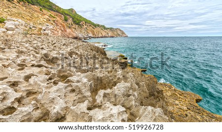 Vinh Hy Bay Little strokes fell great oaks