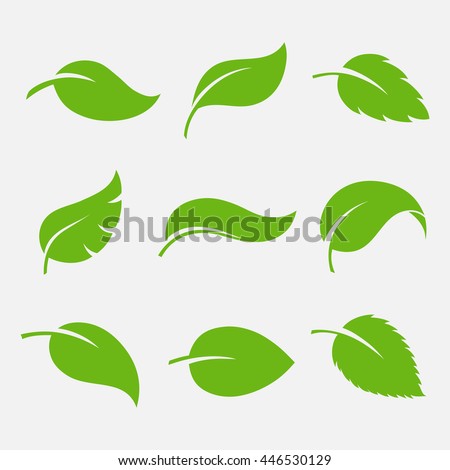 39+ White Leaf Icon Vector Pictures