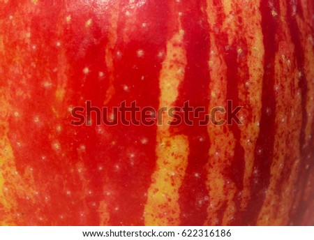 skin closeup stock images royalty free images vectors apple skin texture details stock photo royalty free 622316186 skin closeup stock images royalty free images vectors apple skin texture details stock photo royalty free 622316186
