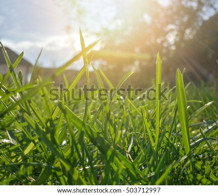 Sunshine Stock Photos, Royalty-Free Images & Vectors - Shutterstock