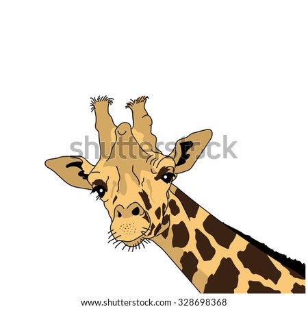 Giraffe Neck Stock Images, Royalty-Free Images & Vectors | Shutterstock