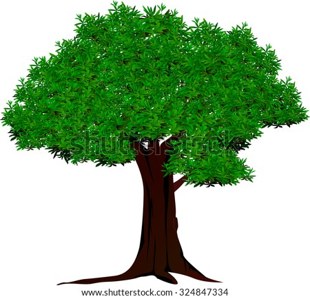 Acacia Tree Stock Vector 94773166 - Shutterstock