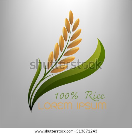 grain organic natural produc ,Rice gold and green leaf logo vector design