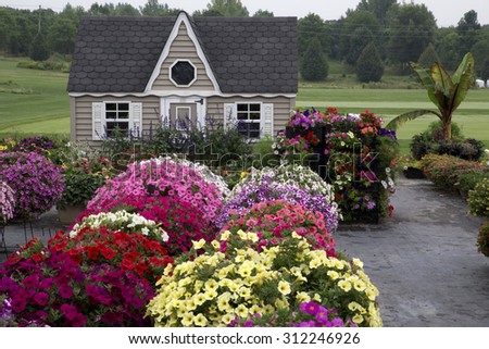 Beautiful Garden Garden House Flowers Stock Photo (Edit Now) 312246926