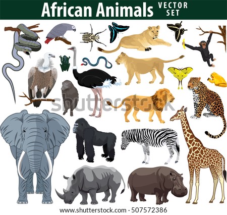 Wild African Animals Set Zebra Ostrich Stock Vector 507572386 ...