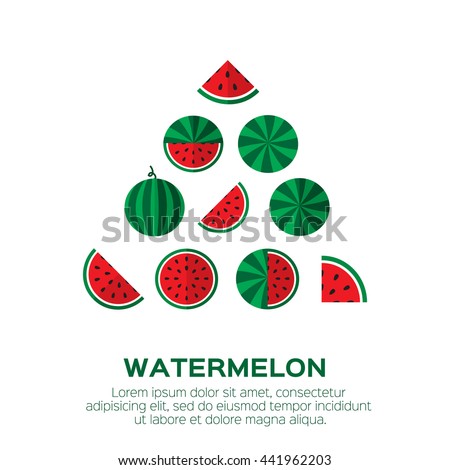 Summer set of fresh ripe watermelon. Single watermelon, half a watermelon, a slice of watermelon. Red Watermelon concept vector illustration