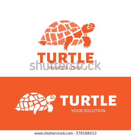 turtle brand shirts